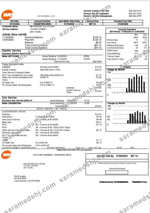 USA We business utility bill template in Word and PDF formats